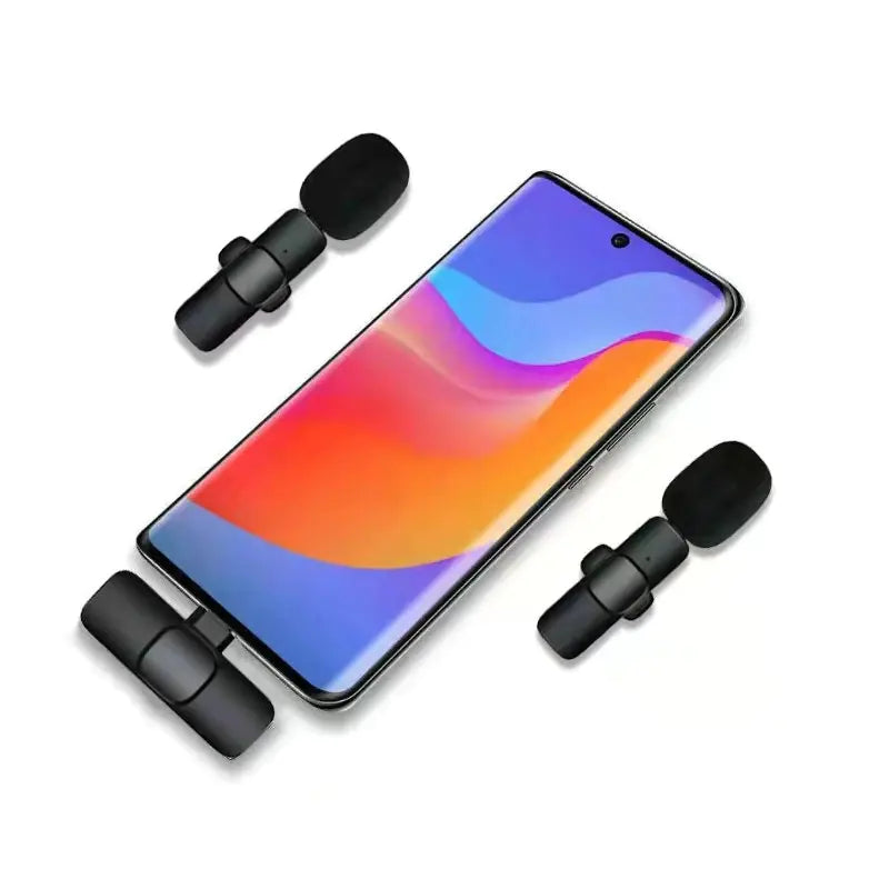 Portable Mini Wireless Microphone